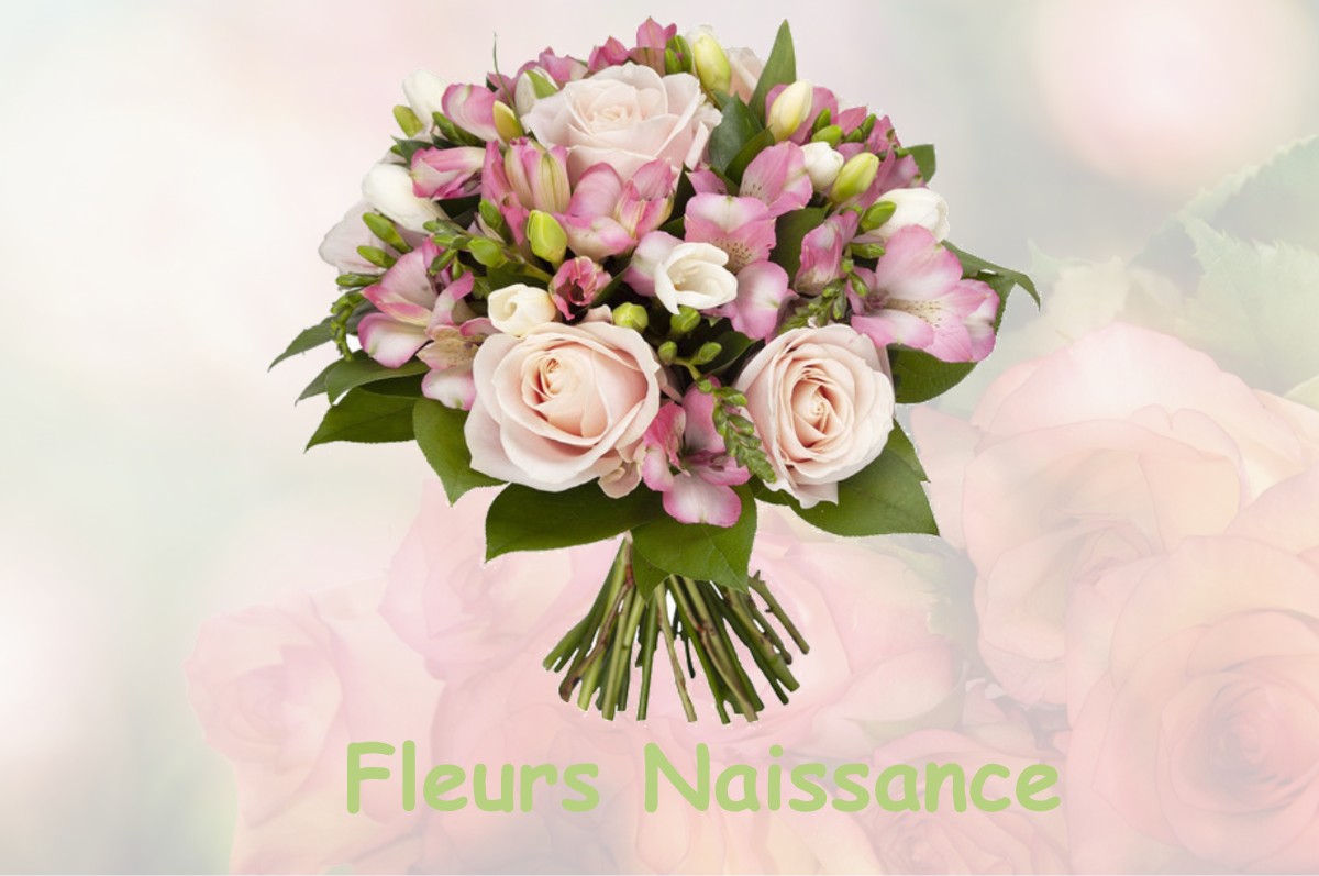 fleurs naissance DOMPIERRE-AUX-BOIS