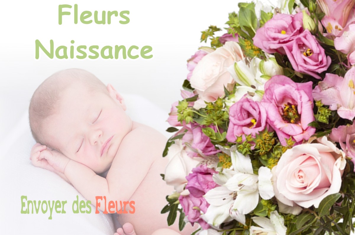 lIVRAISON FLEURS NAISSANCE à DOMPIERRE-AUX-BOIS